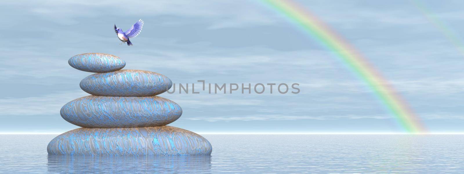 Beautiful blue bird flying upon stones in water under rainbow by clear day
