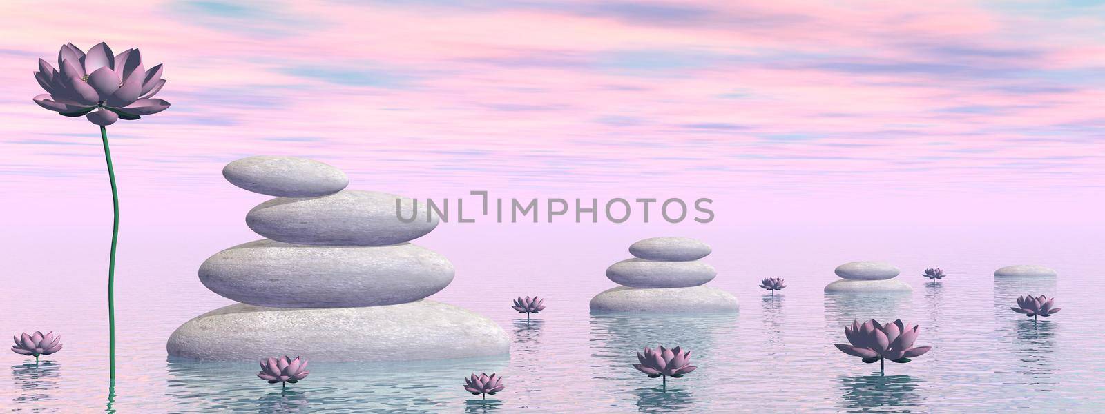 Pink lily flowers and leaves next to white stones upon water by colorful day