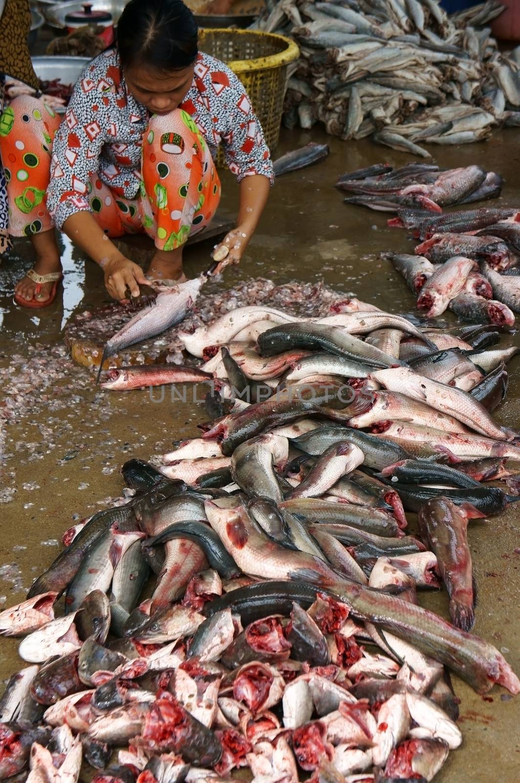 DONG THAP, VIET NAM- NOV 15: Women  squat ,do fish preparation, fish in pile on cement floor, they scale and cut fish to prepare for shrimp processing in Dong Thap, Viet Nam on Nov 15, 2013