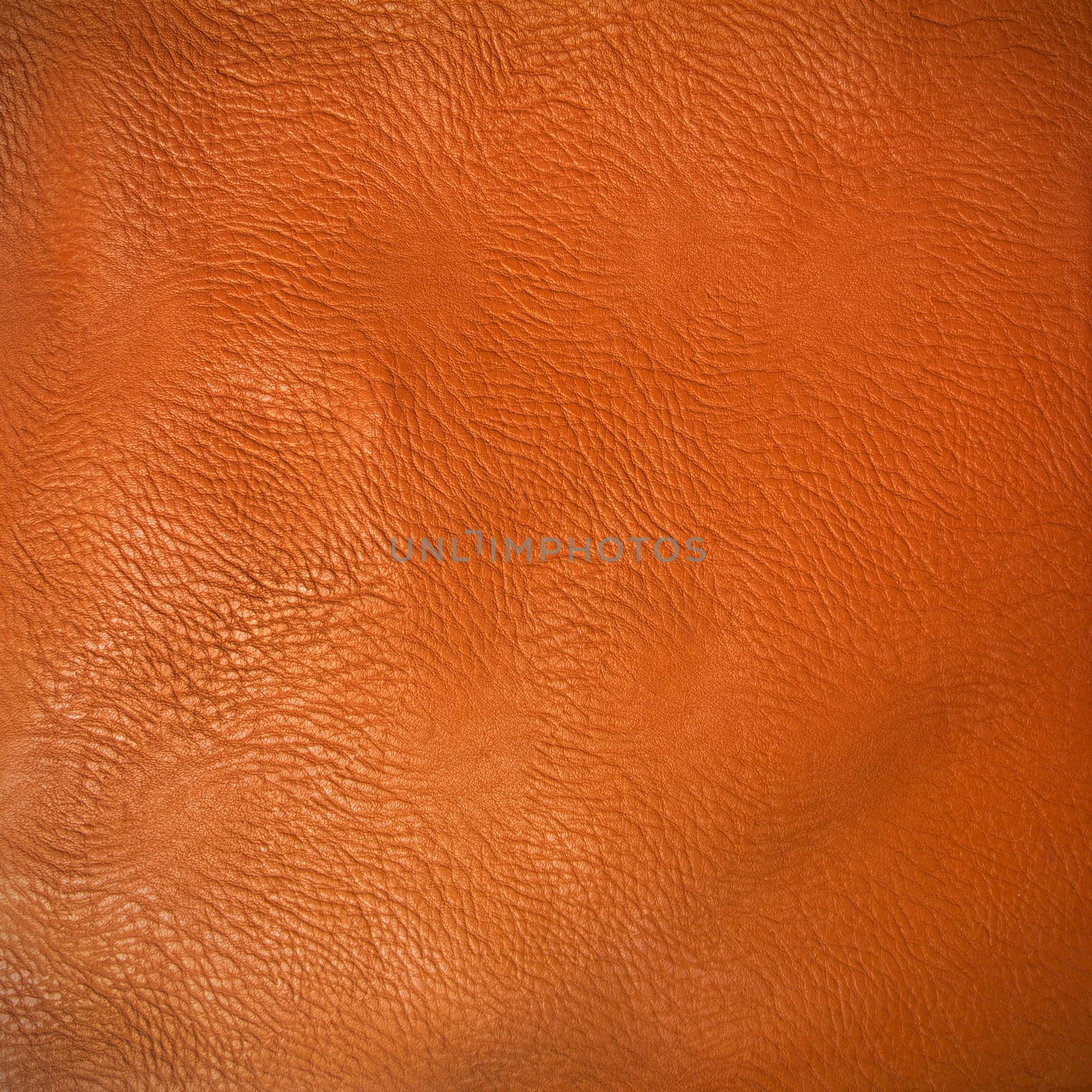 Texture of leather for background 