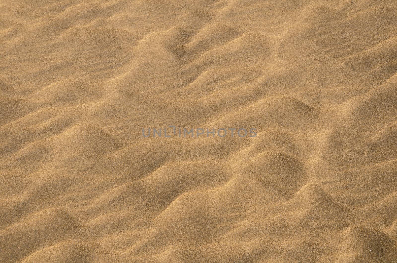 Texture Sand Dune Desert in Gran Canaria Island Spain