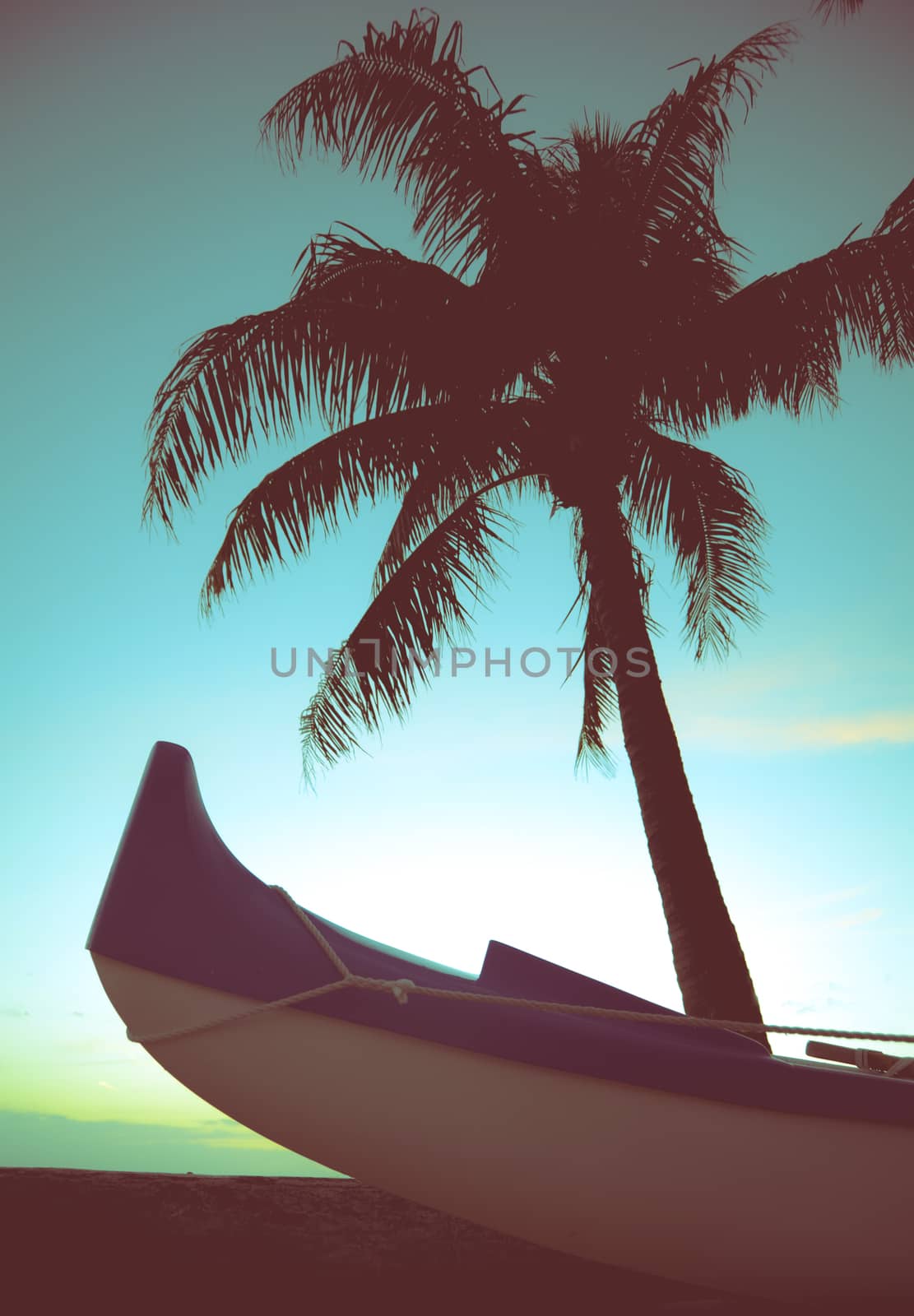 Retro Styled Photo Of Outrigger Canoe And Palm Tree In Hawaii