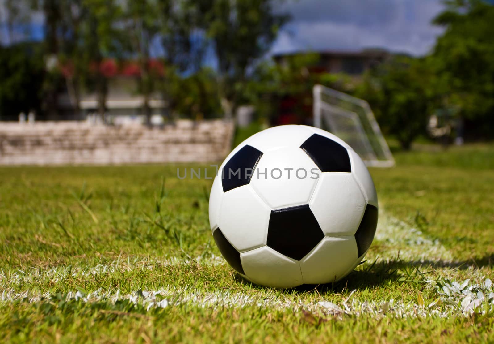 football on green field conner 