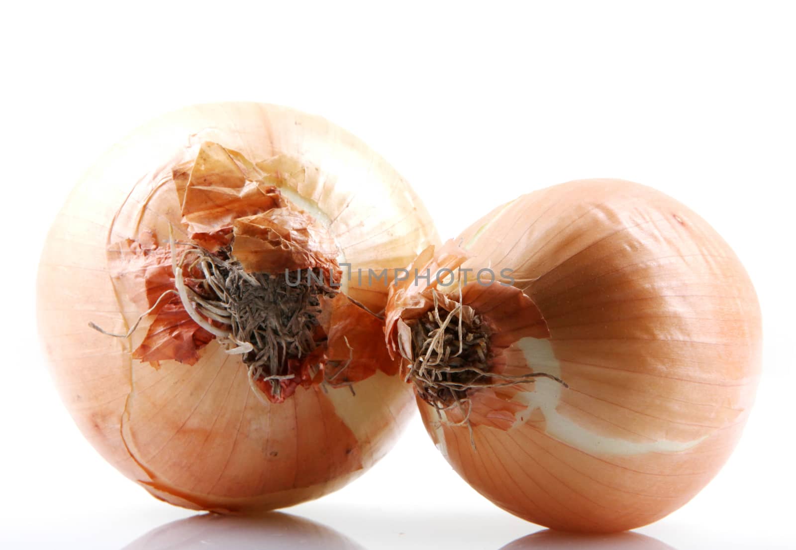 Fresh onion bulbs isolated on white background