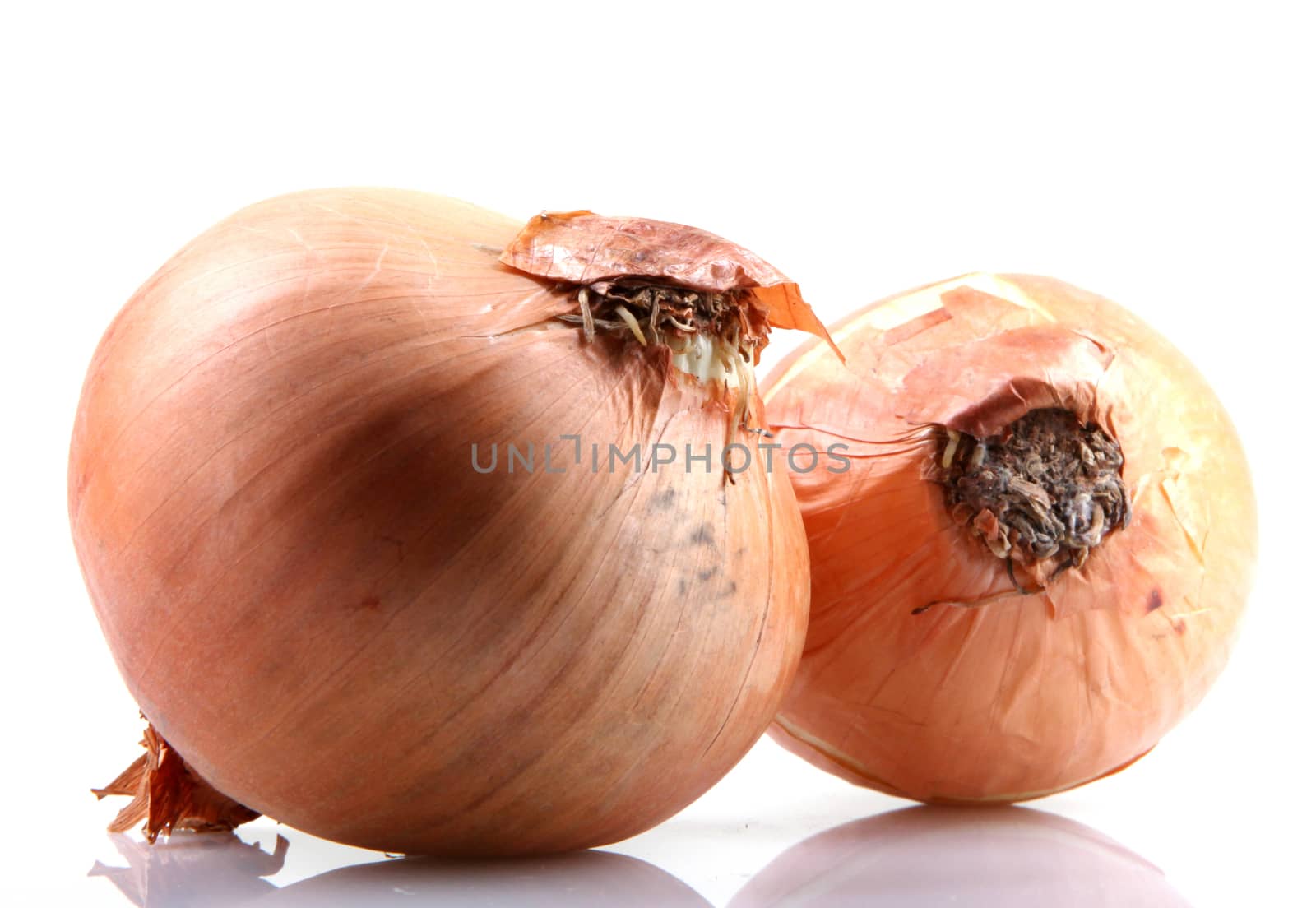 Fresh onion bulbs isolated on white background
