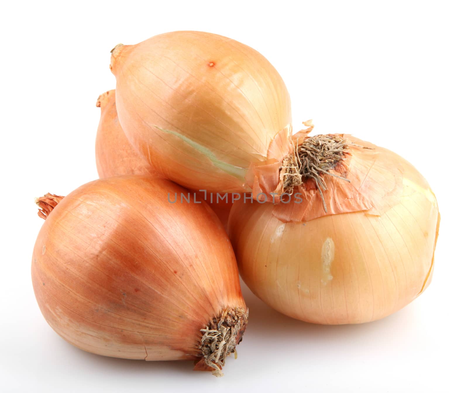 Fresh onion bulbs isolated on white background