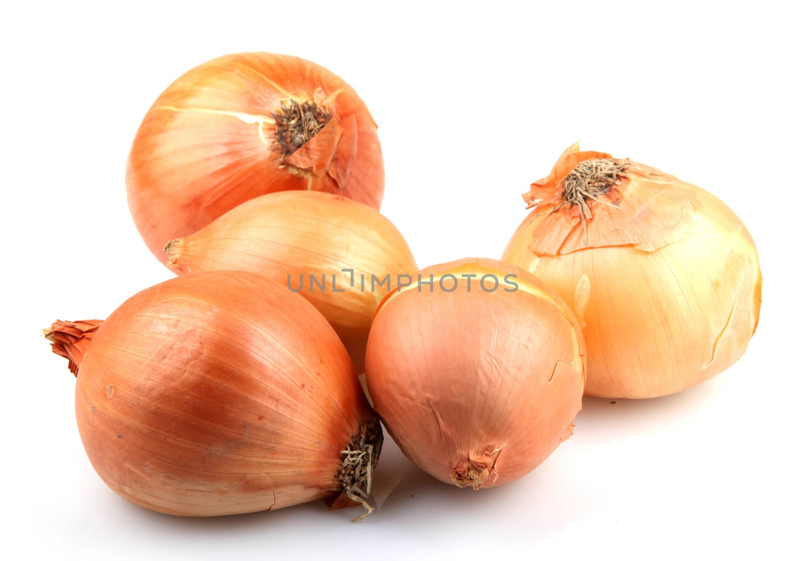 Fresh onion bulbs isolated on white background