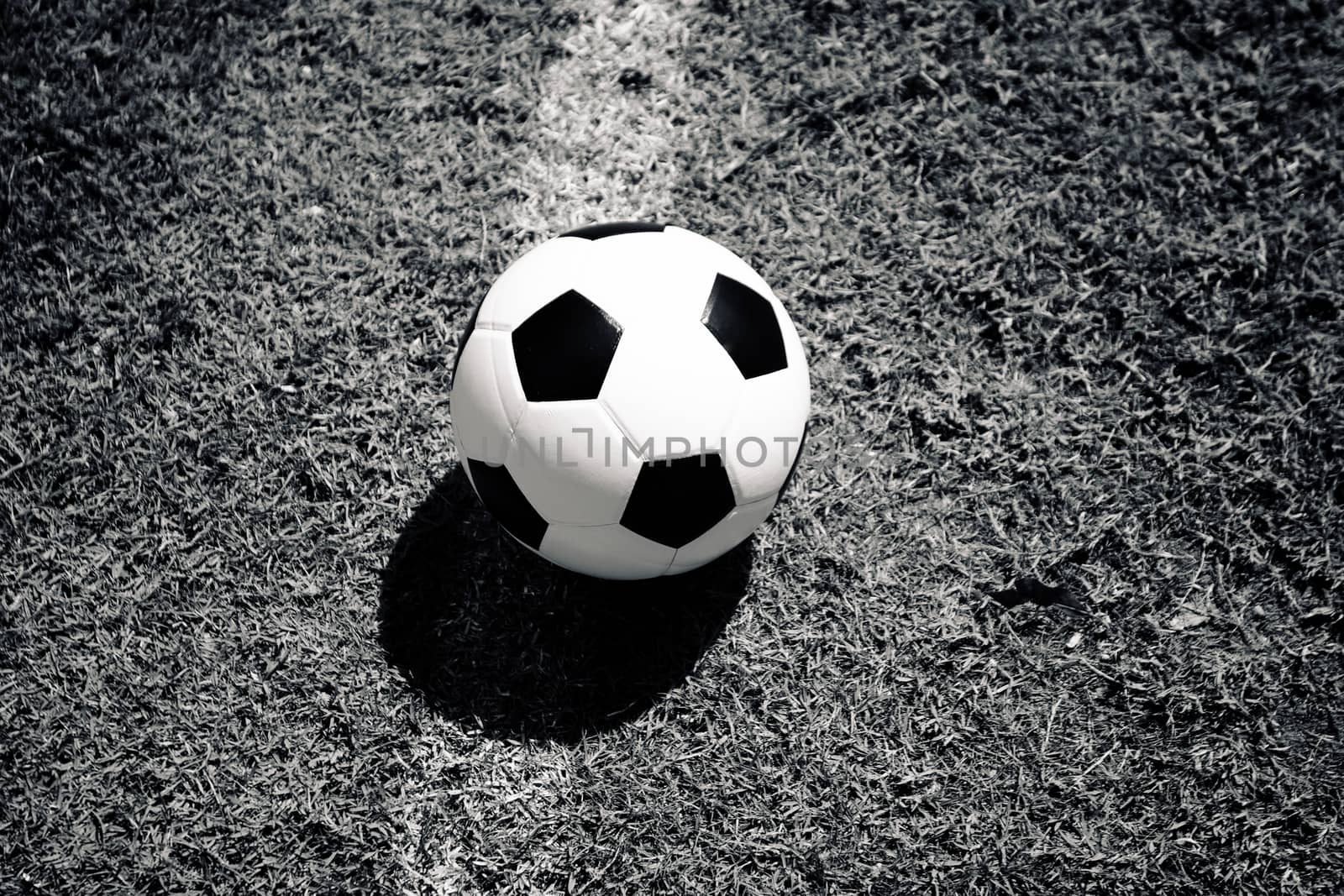 Soccer ball on green grass field with line 