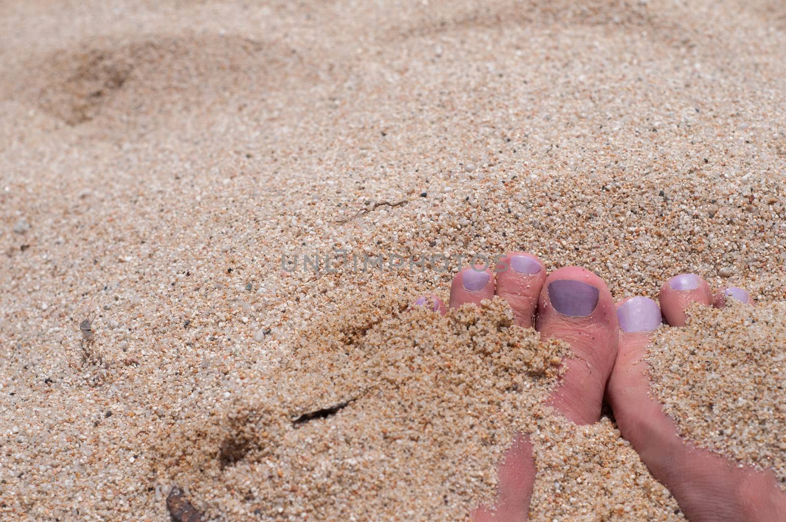 Ladie's fingers with purple pedicure the beach