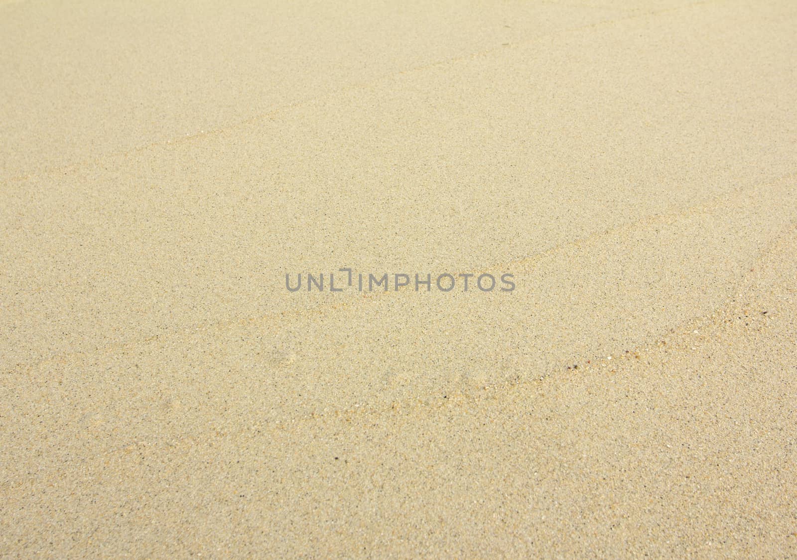 sand pattern on the beach in the summer 