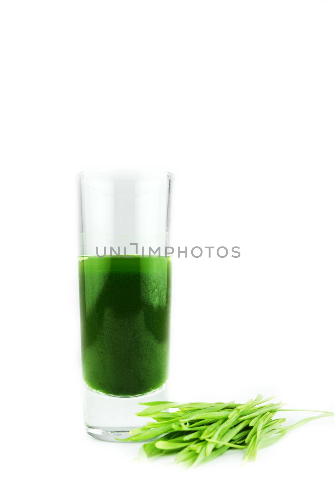 Wheathgrass juice on white background