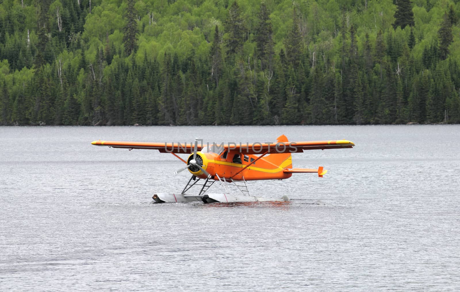 orange hydroplane on a wild lake