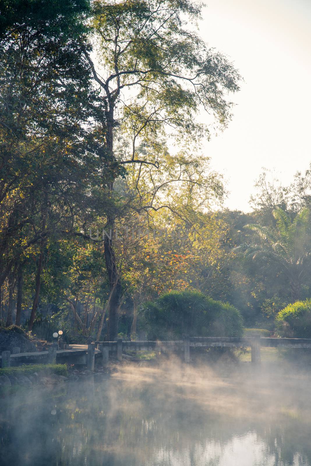 Fang Hot Spring National Park is part of Doi Pha Hom Pok National Park in Chiang Mai, Thailand (Filtered Images )