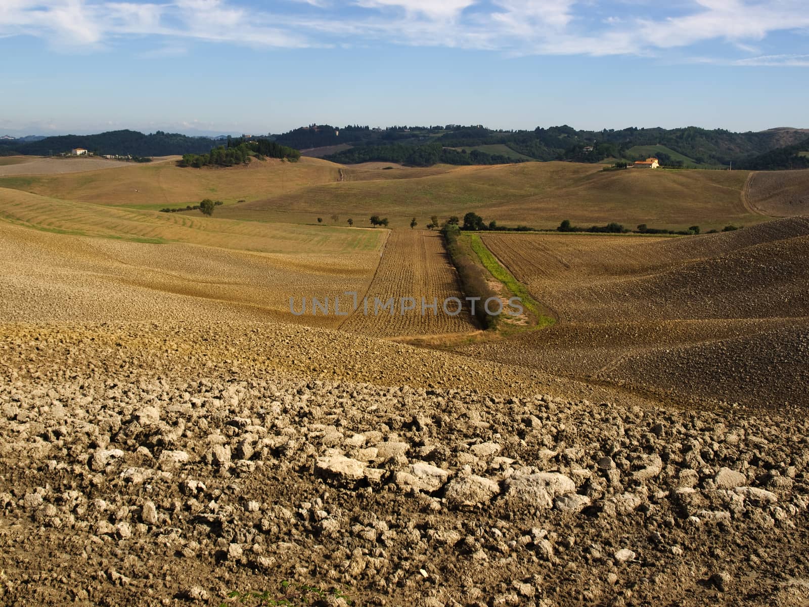 plowed field in tuscany