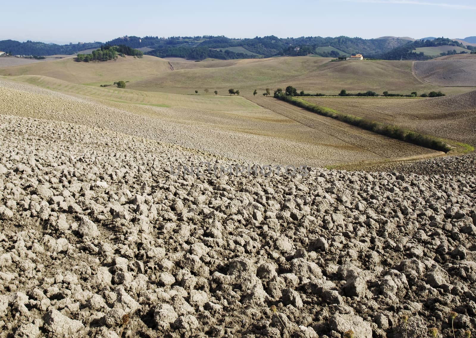 plowed field in tuscany by sette