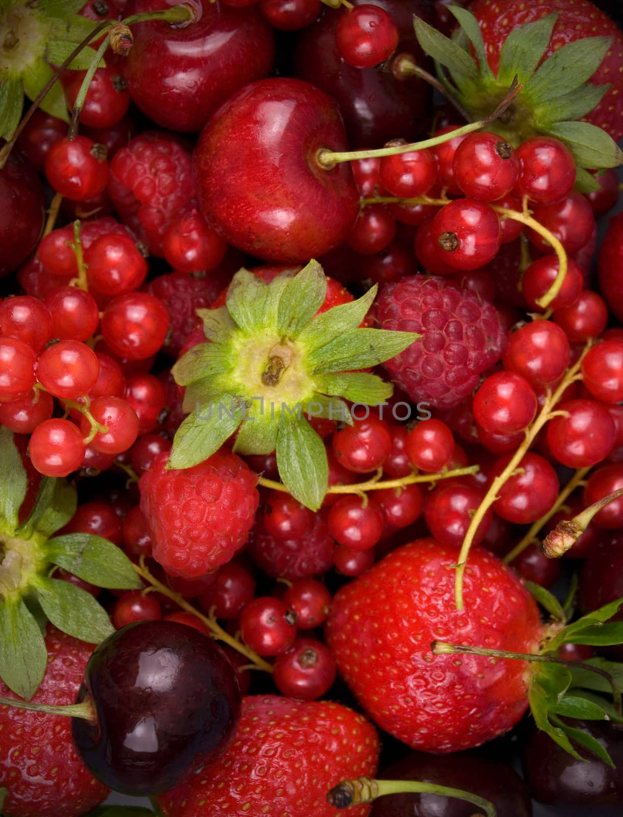 fresh red  fruit  background close up by sette