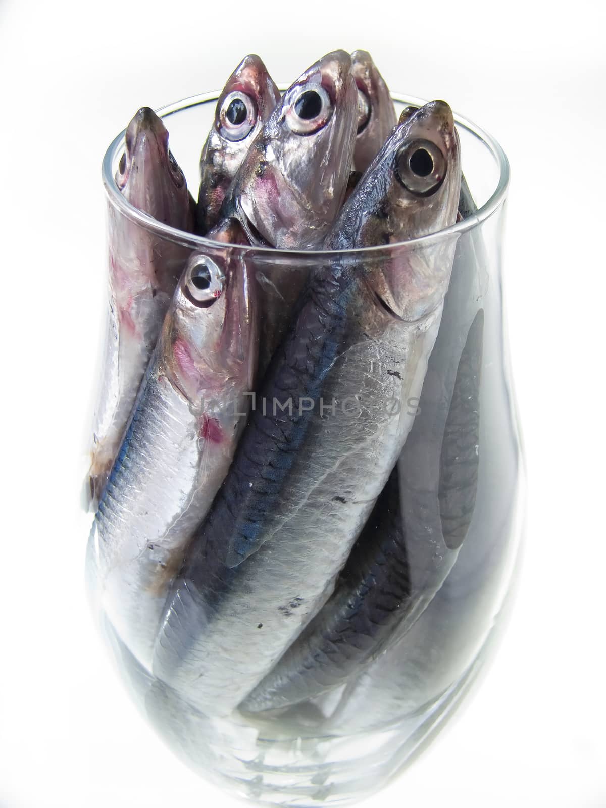 fish in the glass