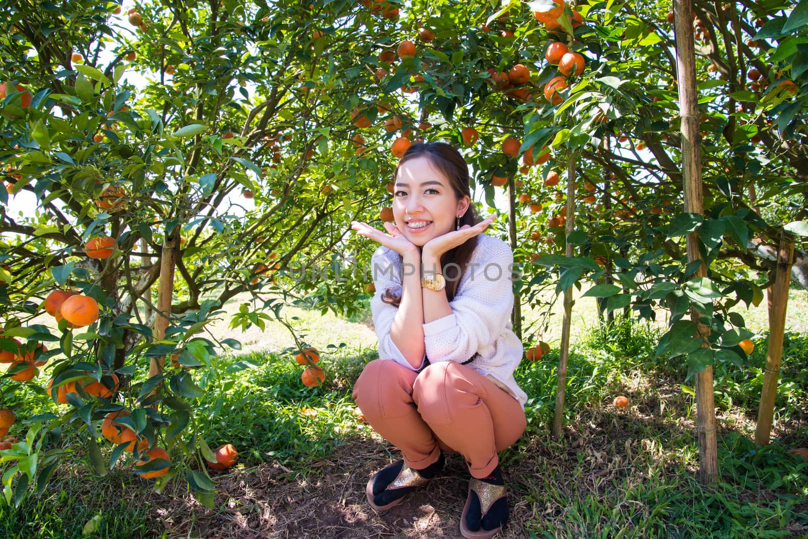 Pretty Asia woman in orange grove smiling