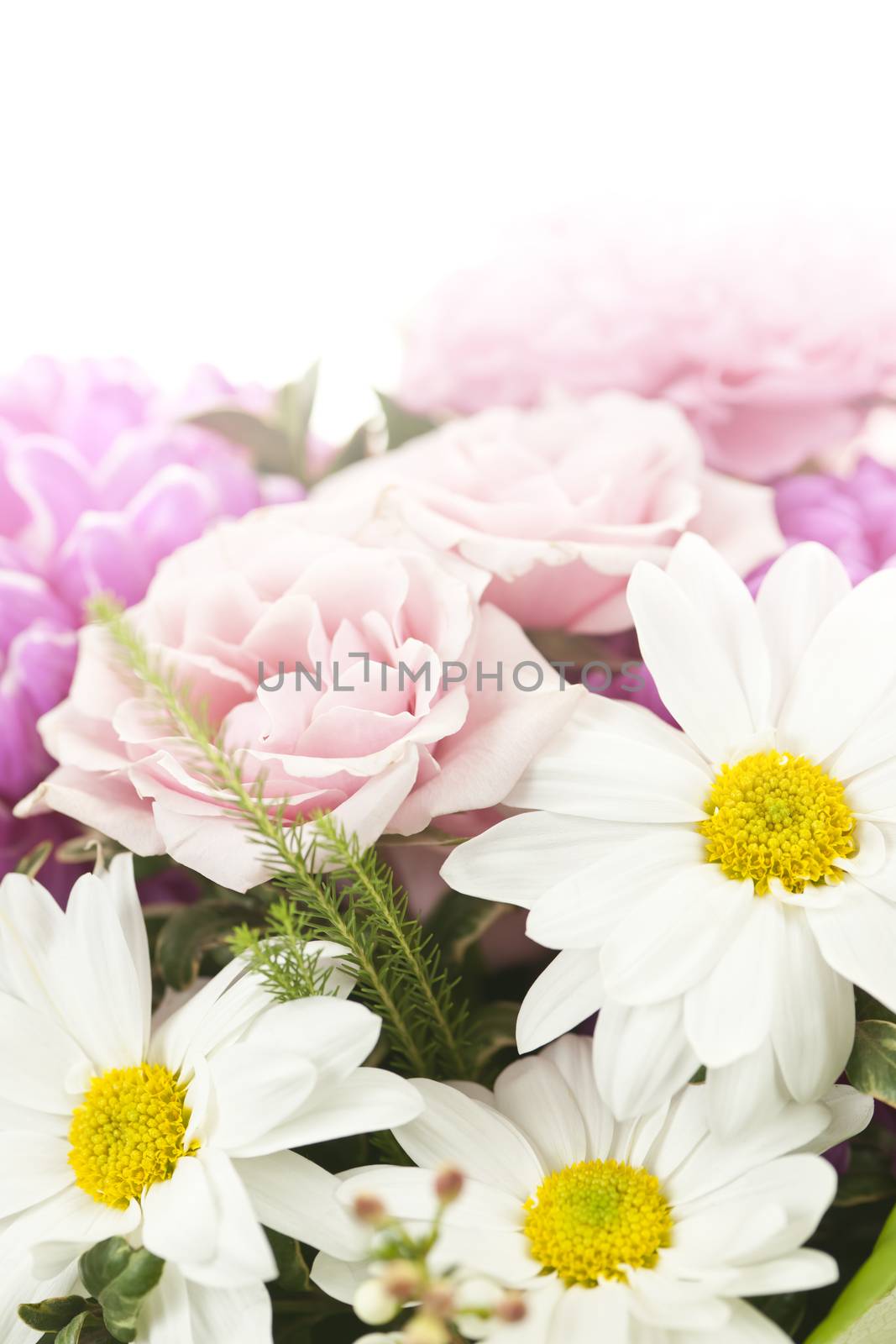 Fading background of flower arrangement with pink and white flowers