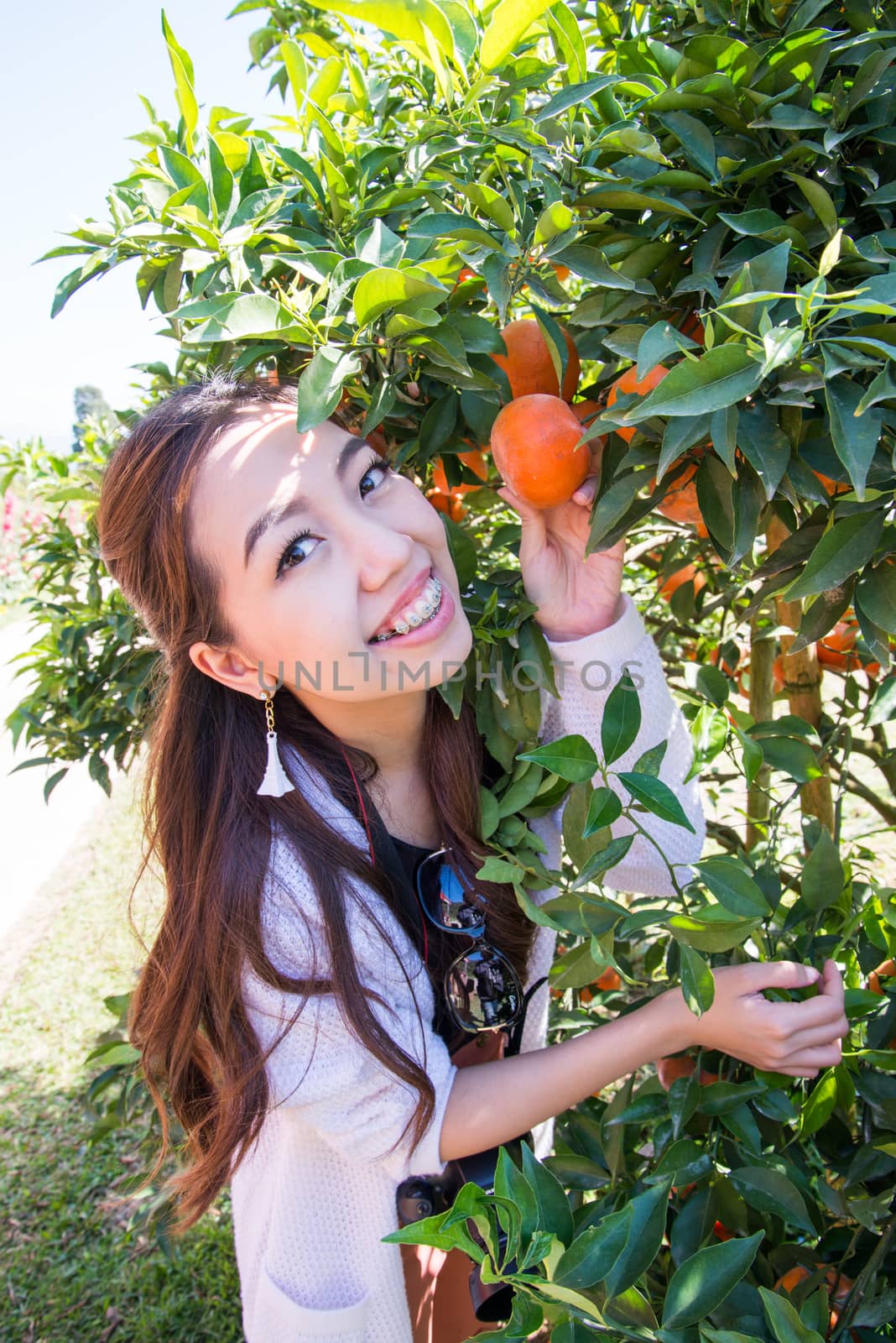 Pretty Asia woman in orange grove smiling by jakgree