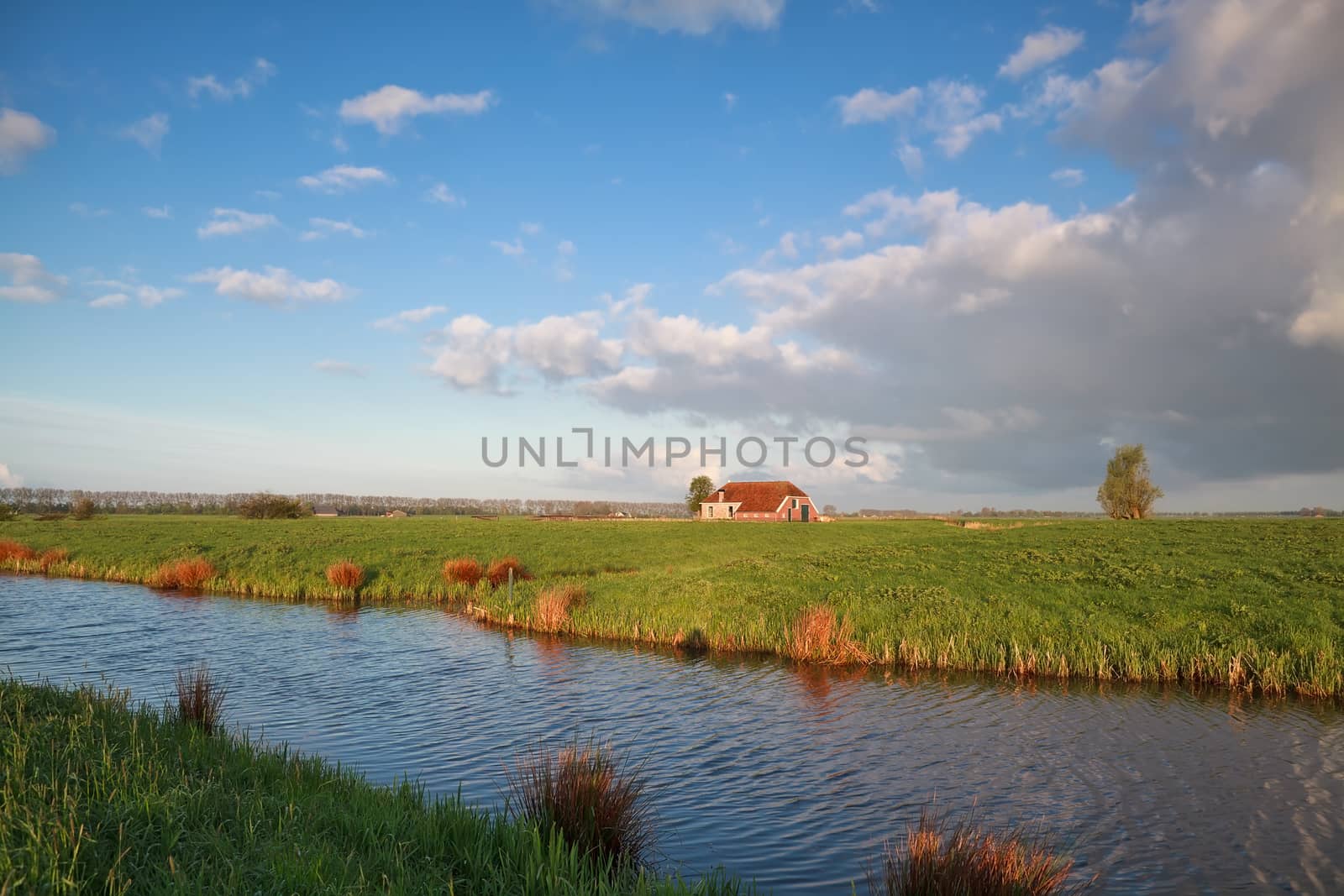 cozy farmhouse by river during sunny summer morning, Holland