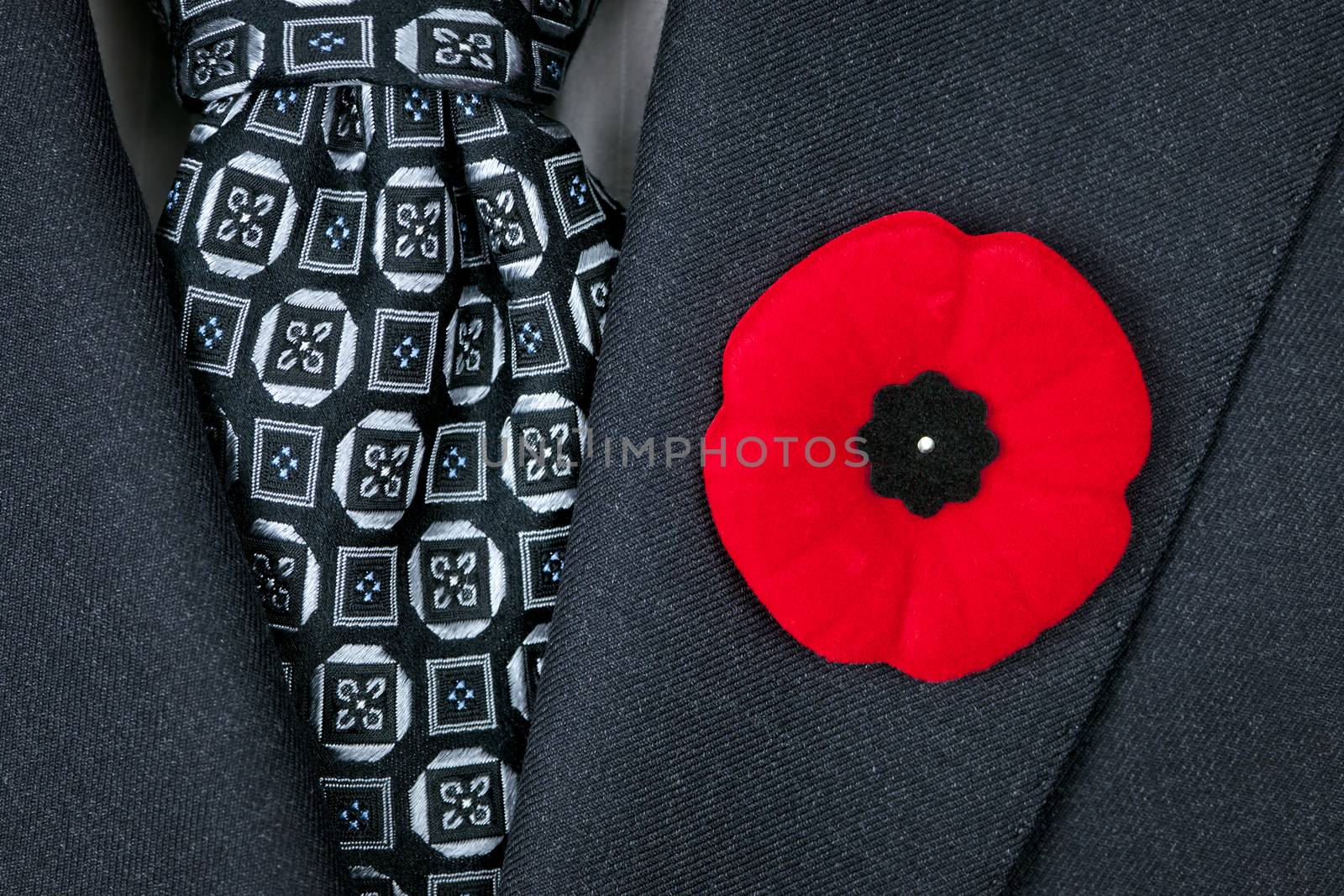 Remembrance Day poppy on suit by elenathewise