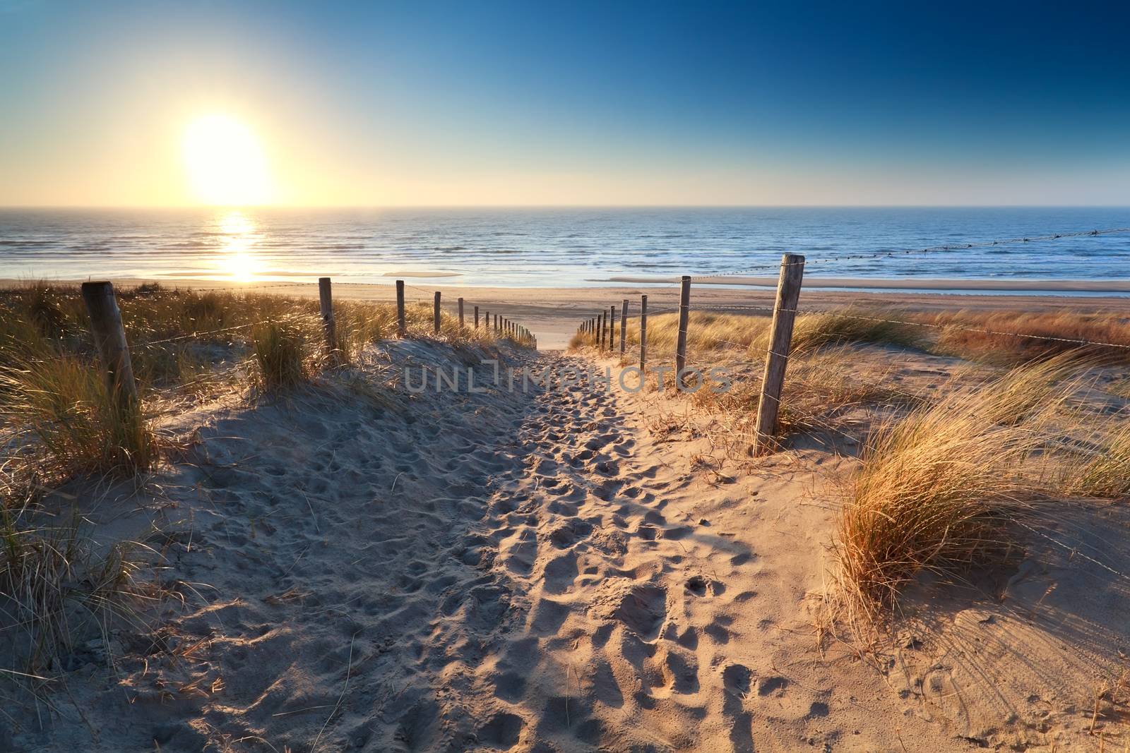 path to sand beach in North sea by catolla