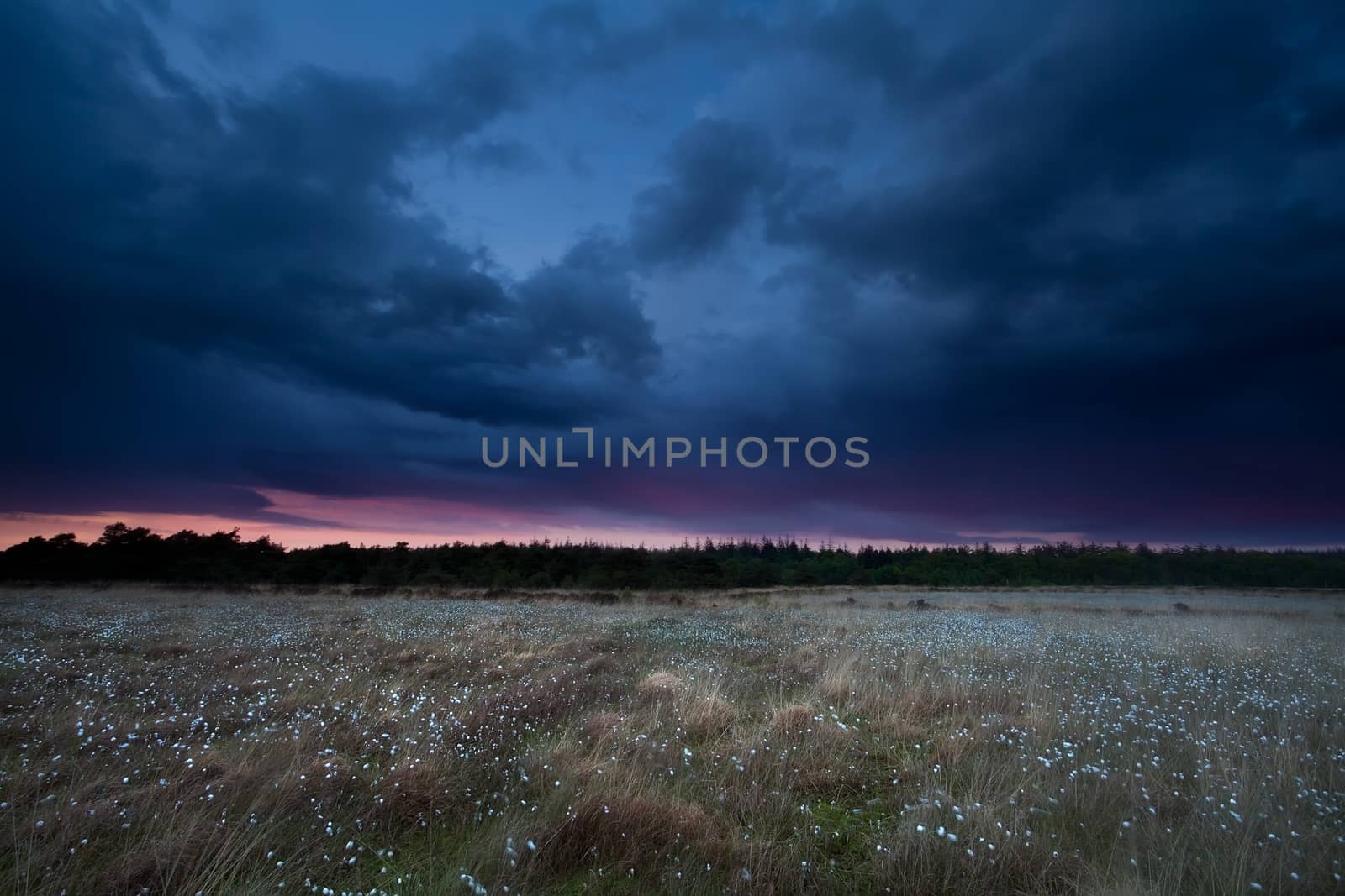 dramatic storm sky over marsh at sunset by catolla