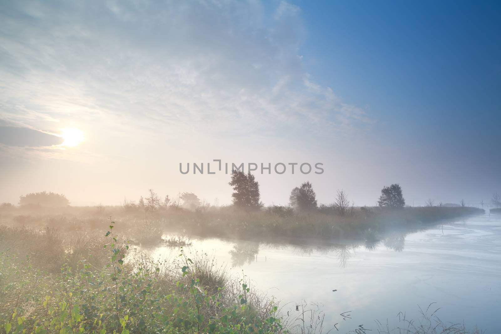 misty sunrise over swamp in summer, Friesland, Netherlands