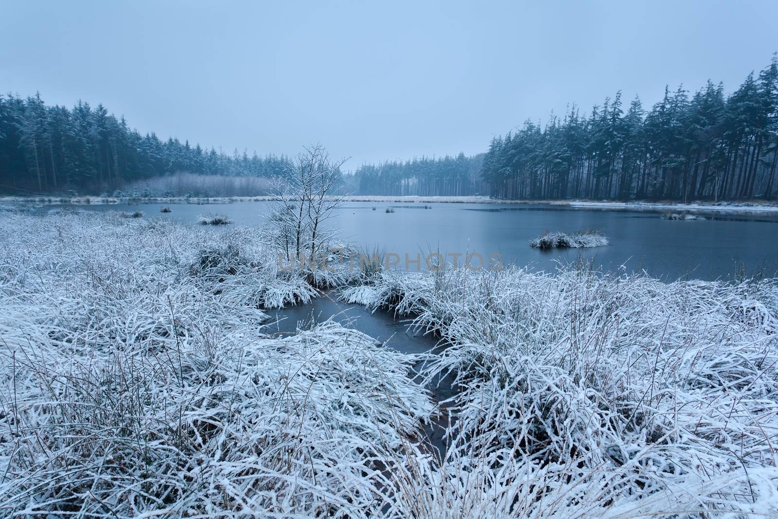 snow winter morning on lake by catolla