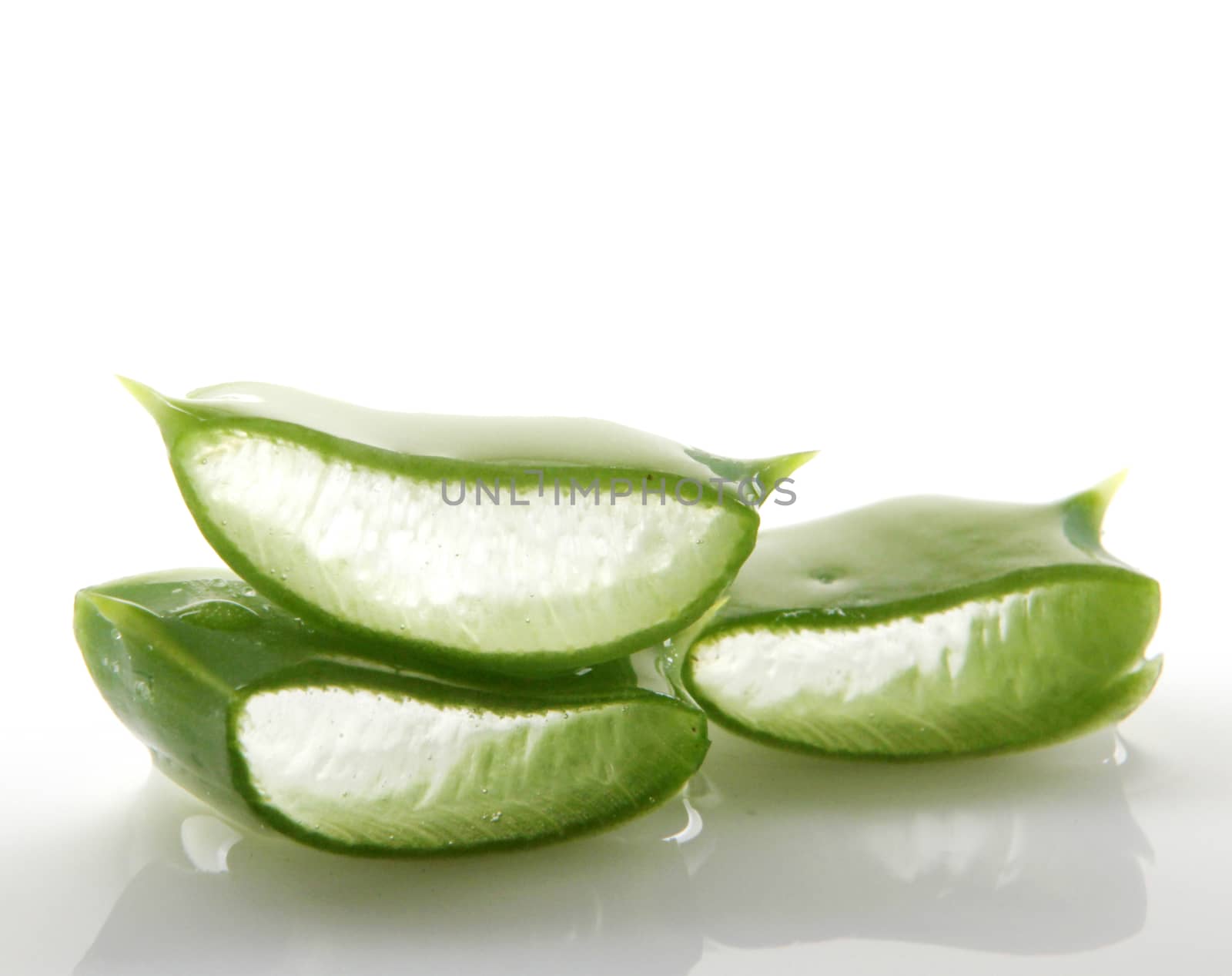 Aloe vera plant isolated on white.