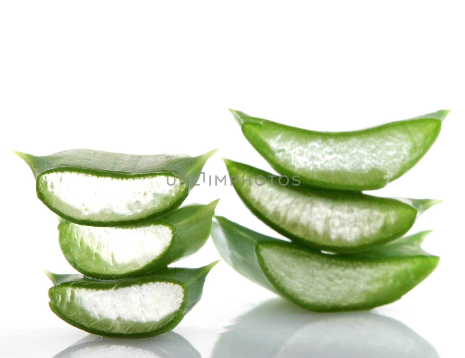 Aloe vera plant isolated on white.