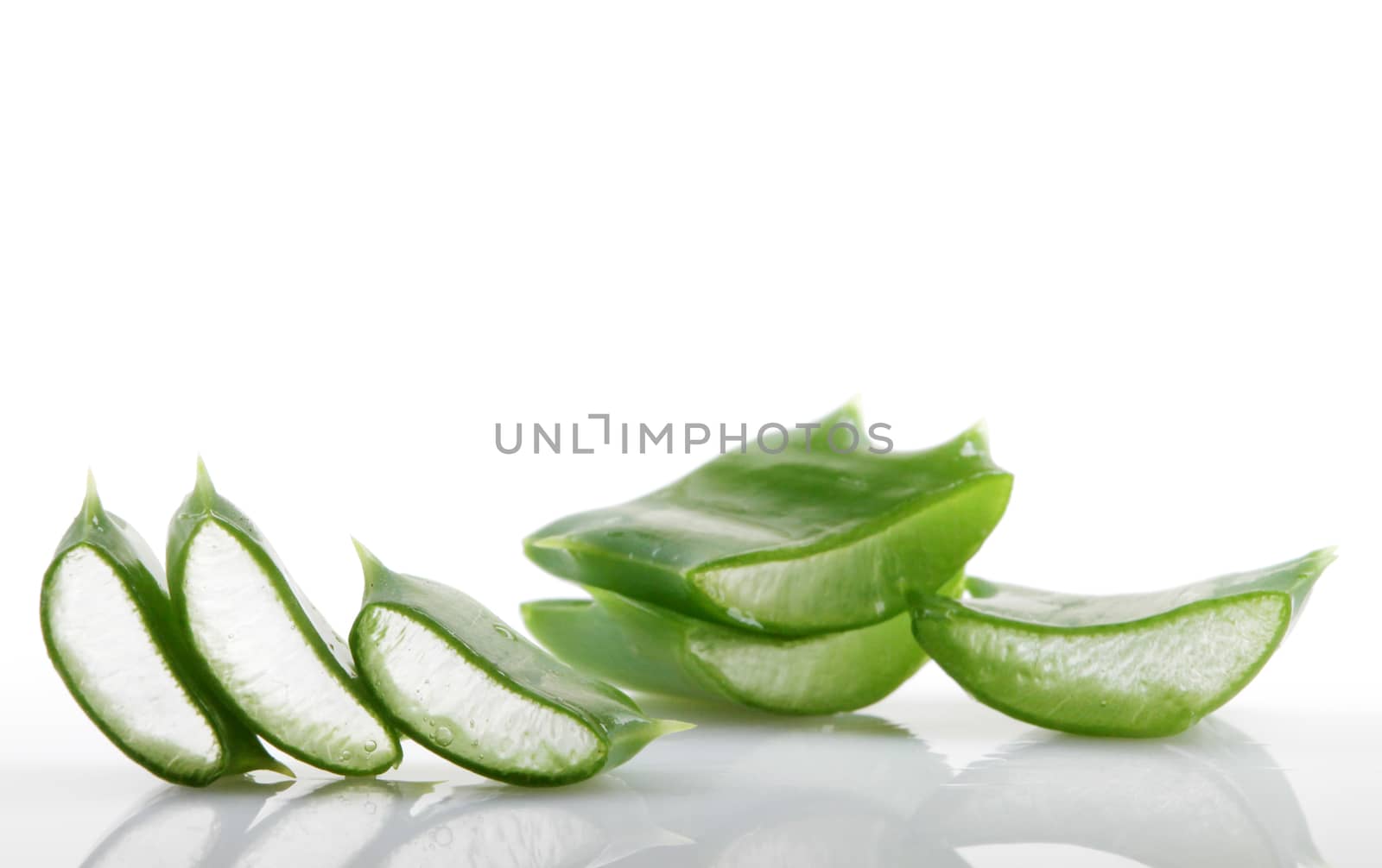 Aloe vera plant isolated on white.