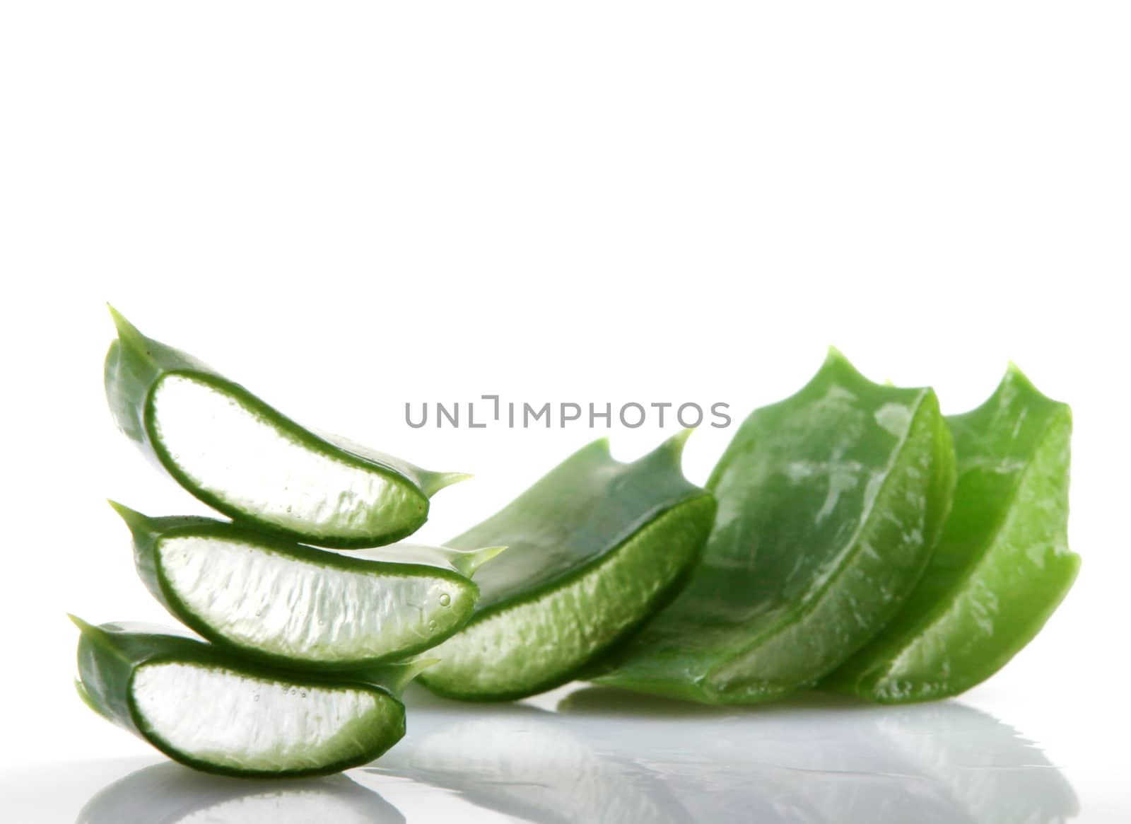 Aloe vera plant isolated on white.