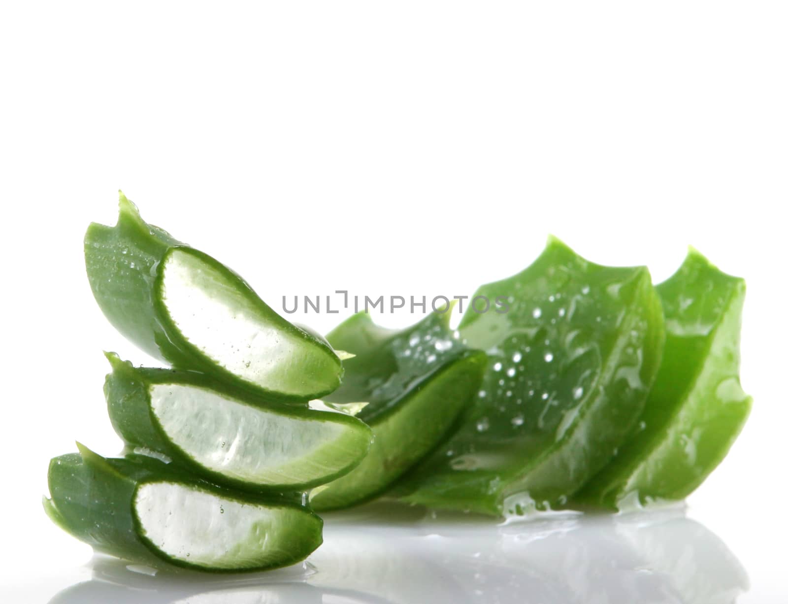 Aloe vera plant isolated on white.