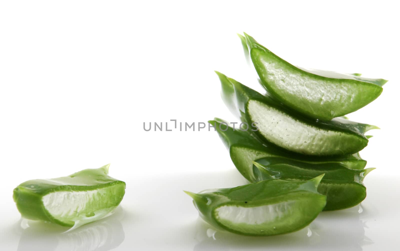 Aloe vera plant isolated on white.