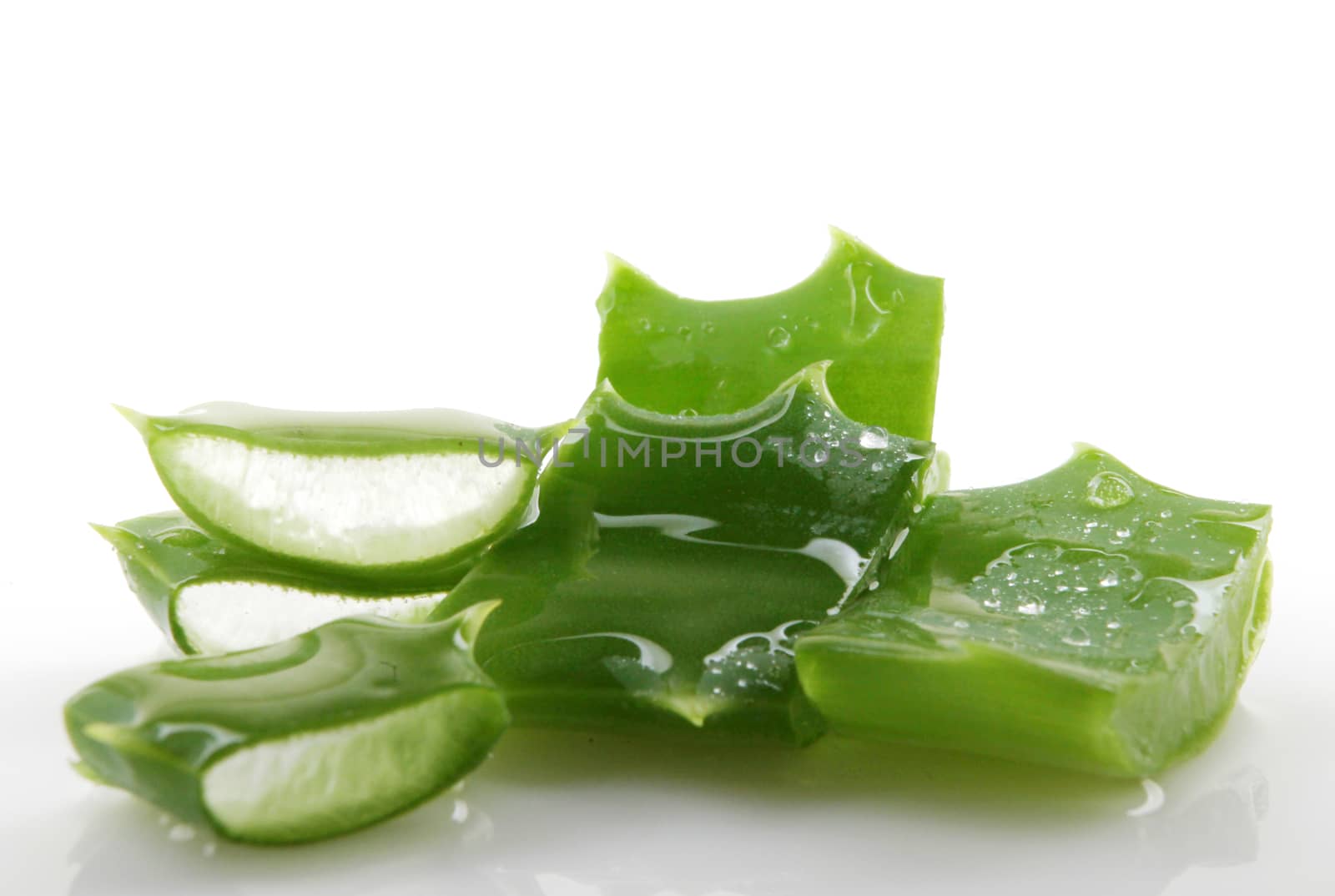 Aloe vera plant isolated on white.