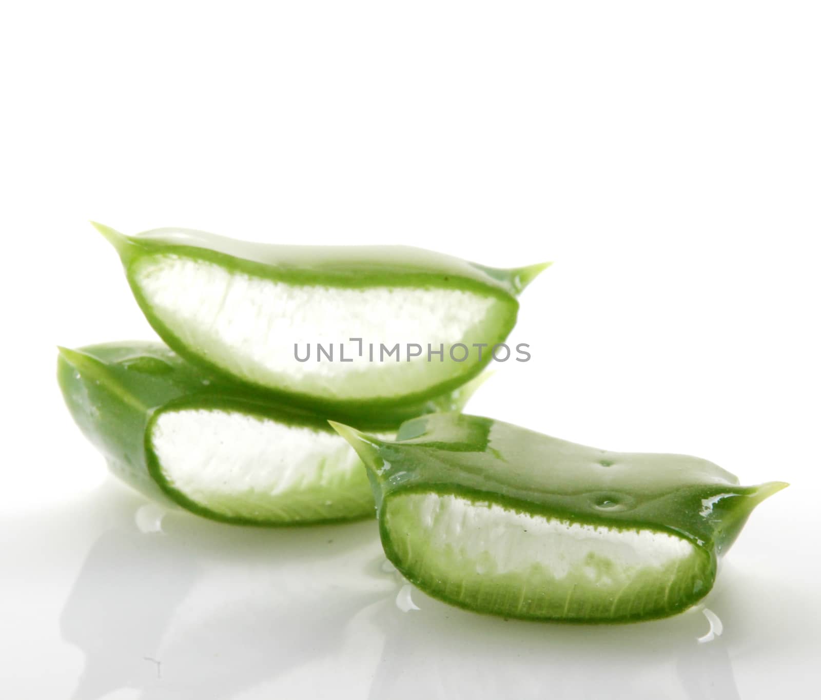 Aloe vera plant isolated on white.