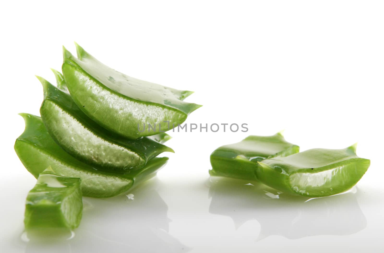 Aloe vera plant isolated on white.