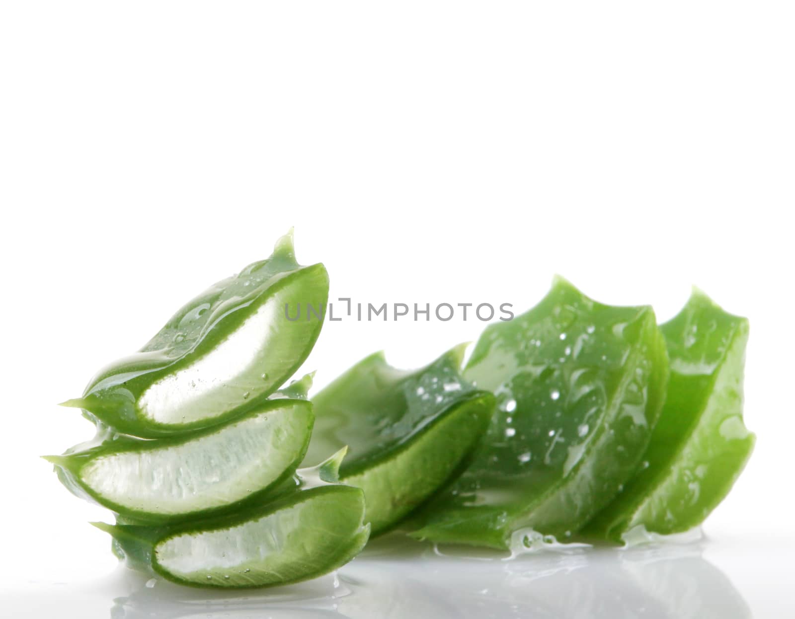 Aloe vera plant isolated on white.
