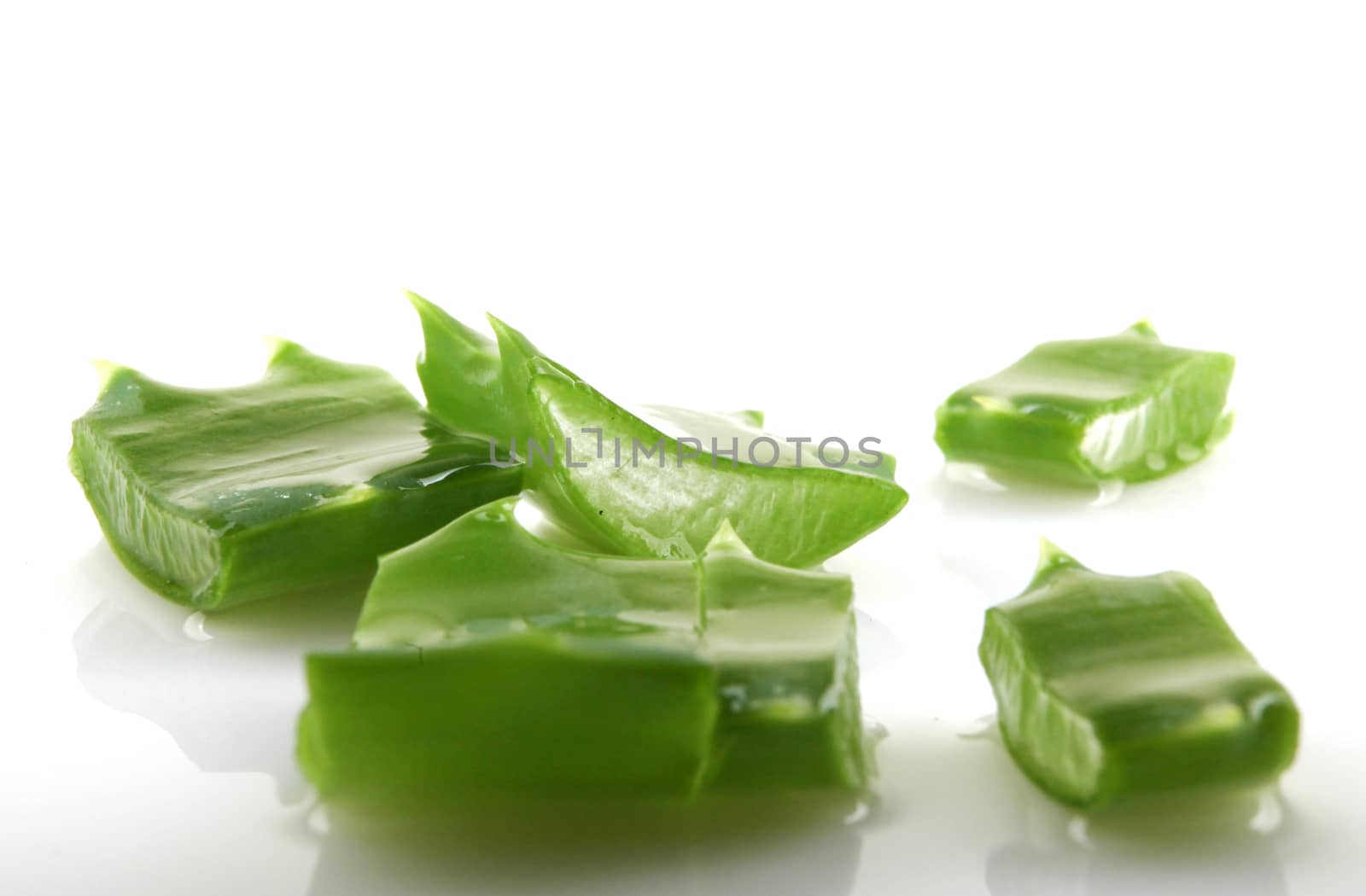 Aloe vera plant isolated on white.