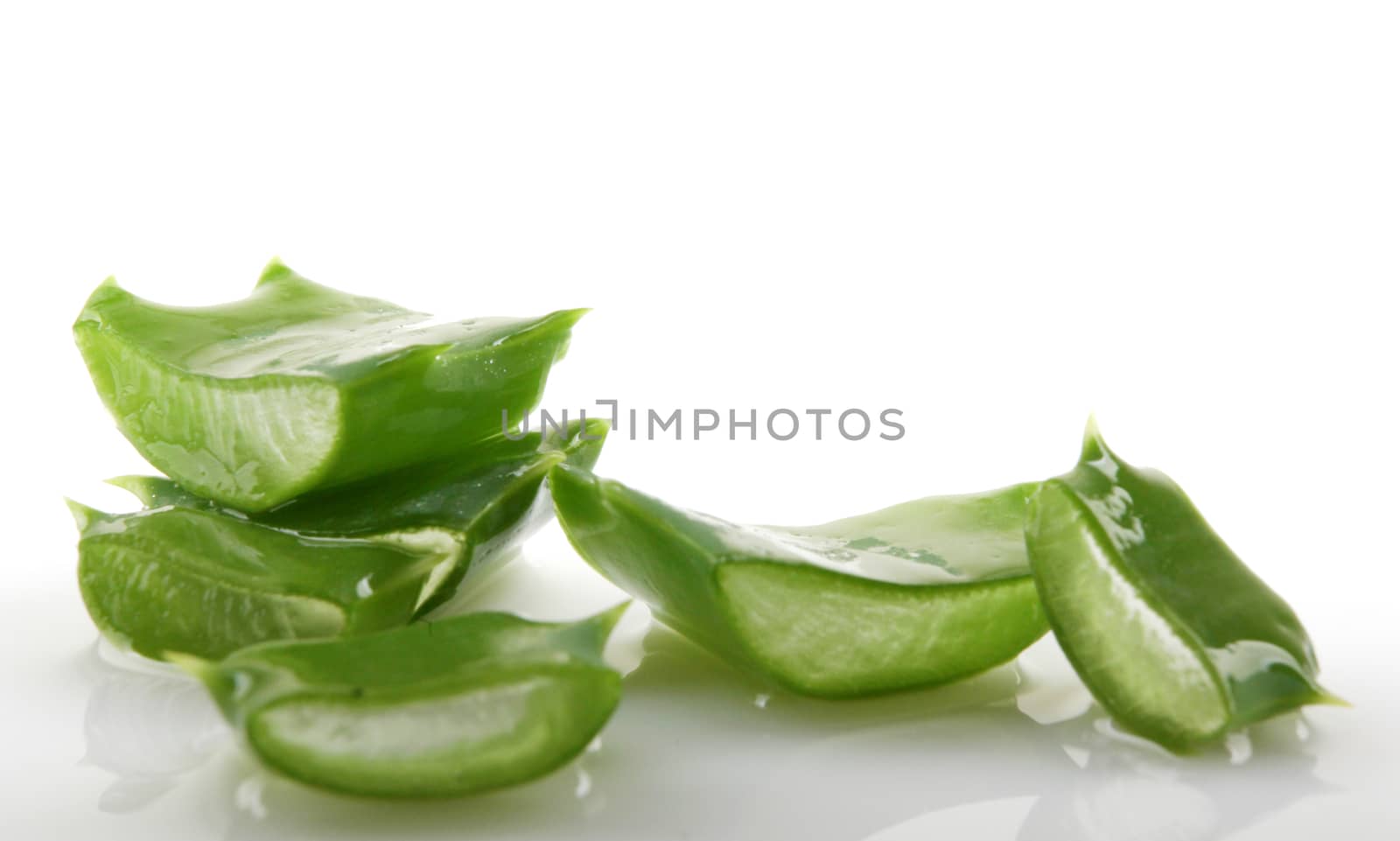 Aloe vera plant isolated on white.