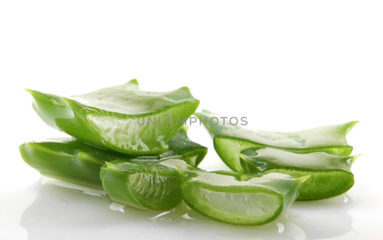 Aloe vera plant isolated on white.