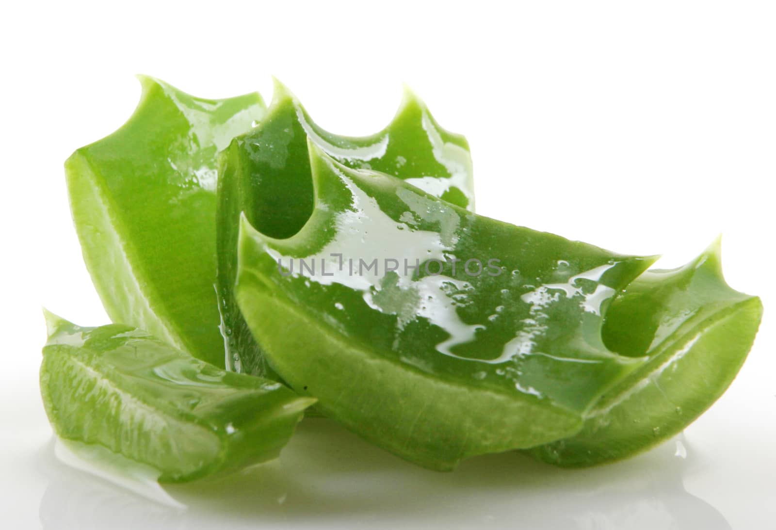 Aloe vera plant isolated on white.