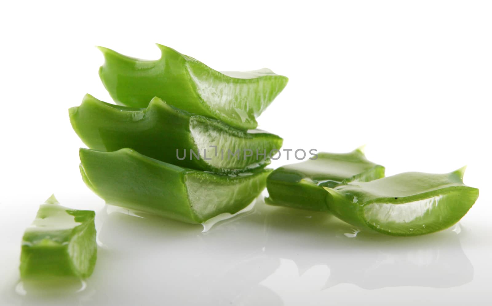 Aloe vera plant isolated on white.