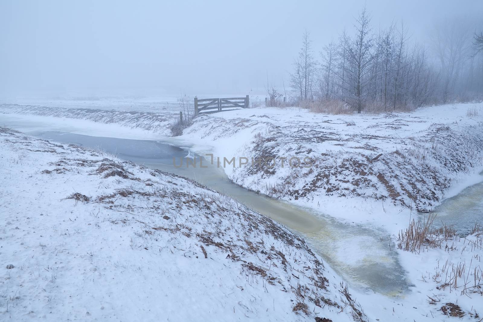 frozen river and snow meadows in fog by catolla