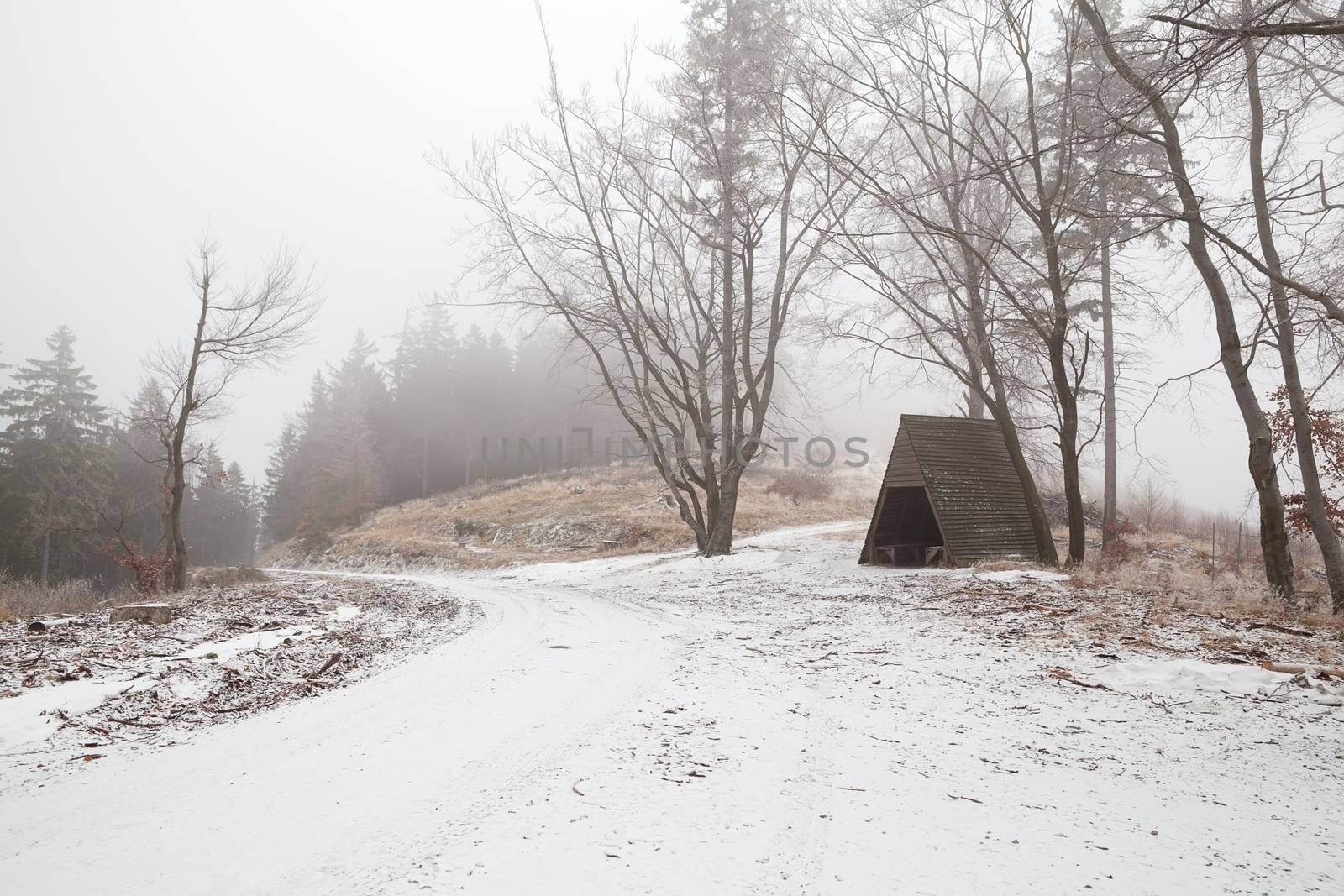 wooden hut in Harz mountains during foggy winter day by catolla