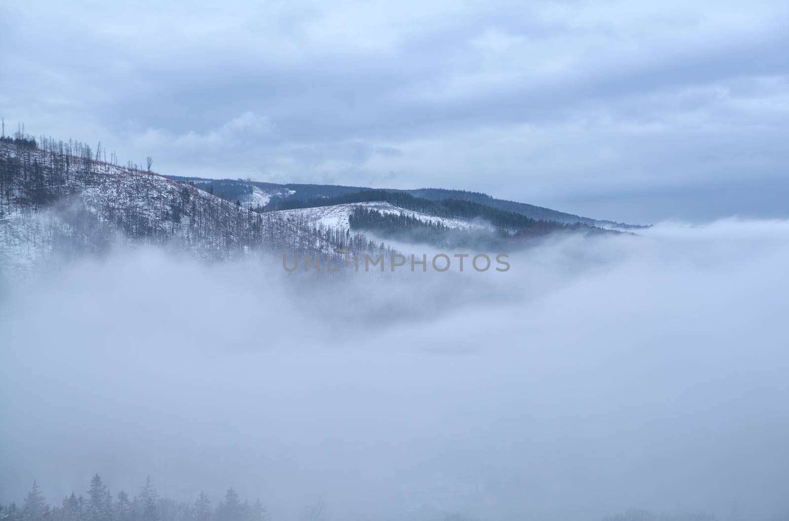 Harz mountains in dense winter fog by catolla