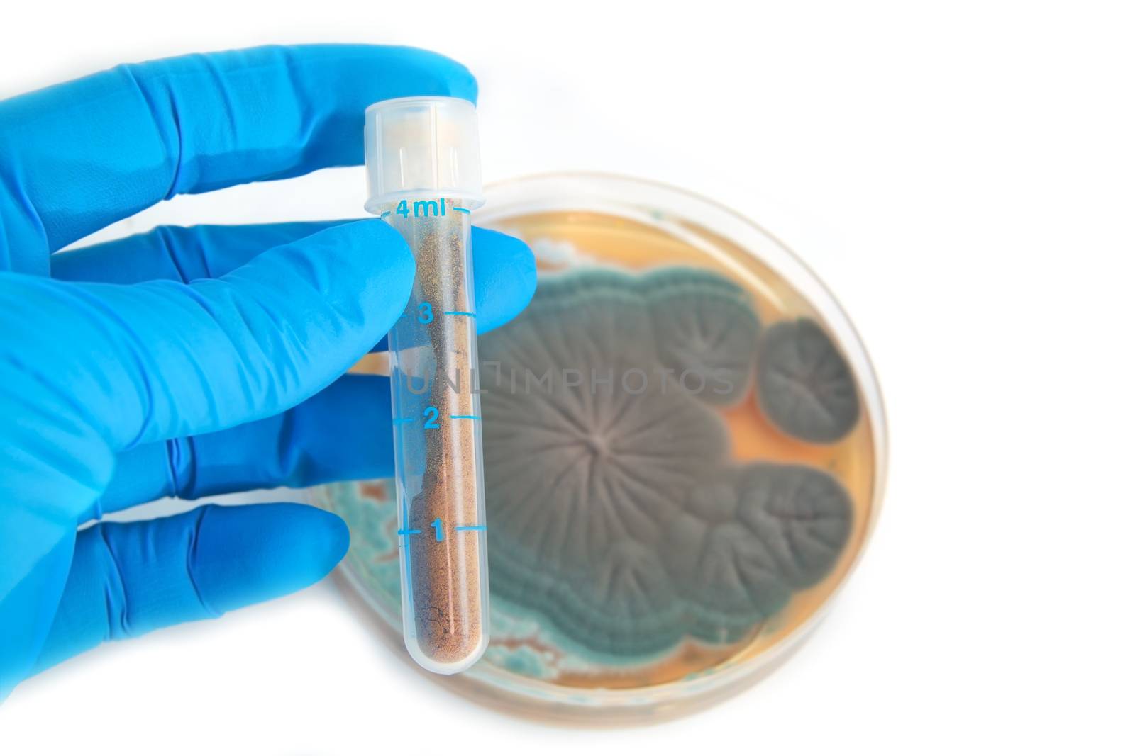 tube with antibiotics and Penicillium fungi over white