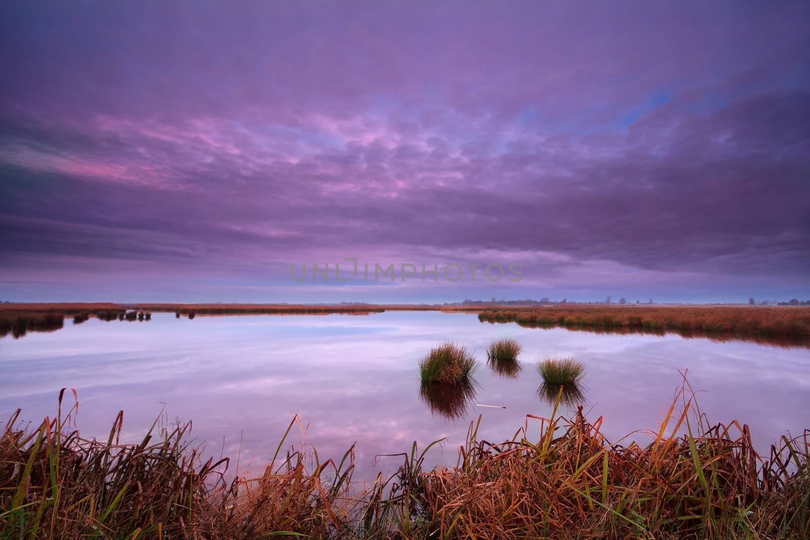 sunrise over swamp, Onlanden, Drenthe, Netherlands